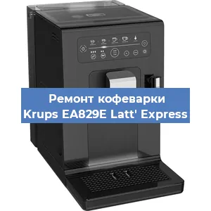 Замена жерновов на кофемашине Krups EA829E Latt' Express в Перми
